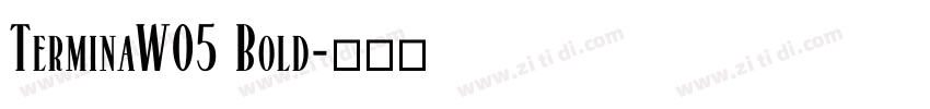 TerminaW05 Bold字体转换